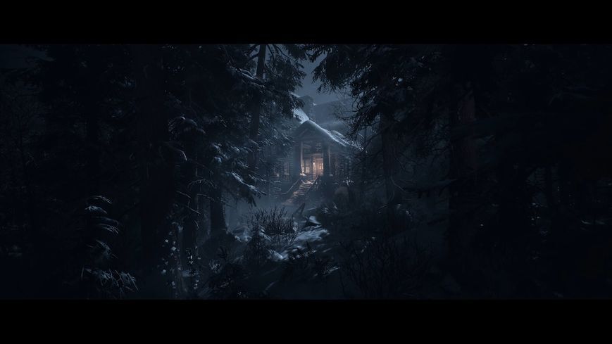 Гра консольна PS5 UNTIL DAWN, BD диск (1000044321) 361855 фото