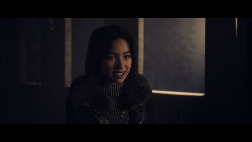 Гра консольна PS5 UNTIL DAWN, BD диск (1000044321) 361855 фото
