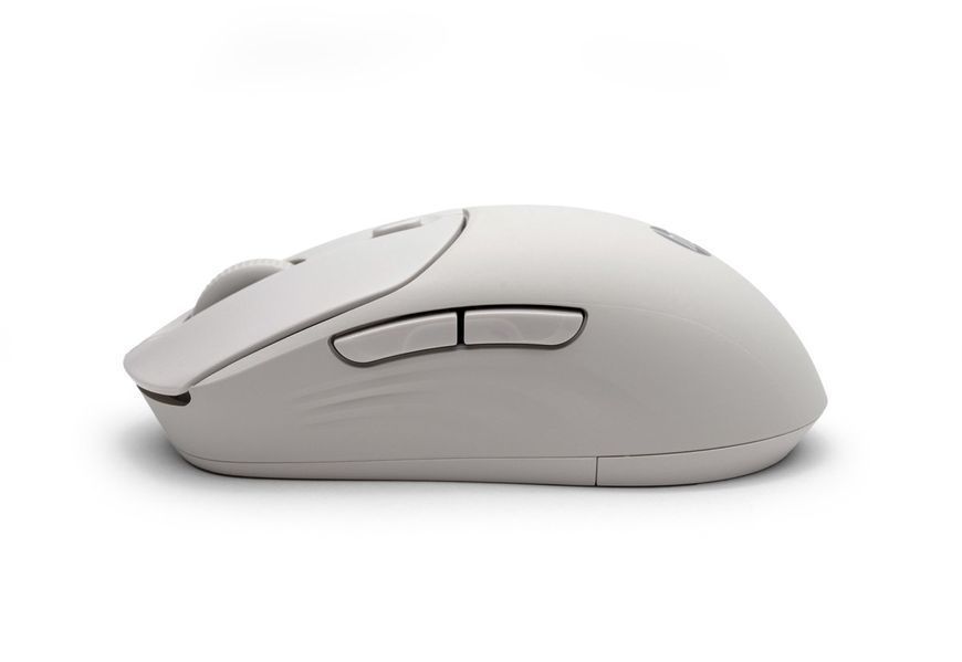 Миша HP 400 Quiet, WL/BT, maple 387642 фото