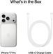 Смартфон Apple iPhone 17 Pro 256GB Silver (MG8G4) 393706 фото 6
