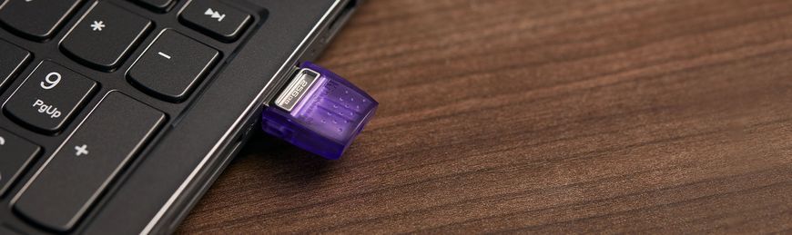 Накопичувач Kingston 256GB USB 3.2 Type-A + Type-C DT microDuo 3C R200MB/s (DTDUO3CG3/256GB) 375867 фото