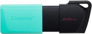 Накопичувач Kingston 256GB USB 3.2 Type-A Gen1 DT Exodia M (DTXM/256GB) 375869 фото