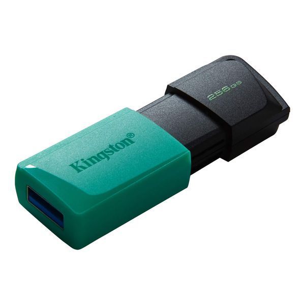 Накопичувач Kingston 256GB USB 3.2 Type-A Gen1 DT Exodia M (DTXM/256GB) 375869 фото