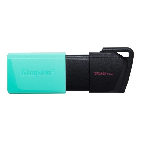 Накопичувач Kingston 256GB USB 3.2 Type-A Gen1 DT Exodia M (DTXM/256GB) 375869 фото