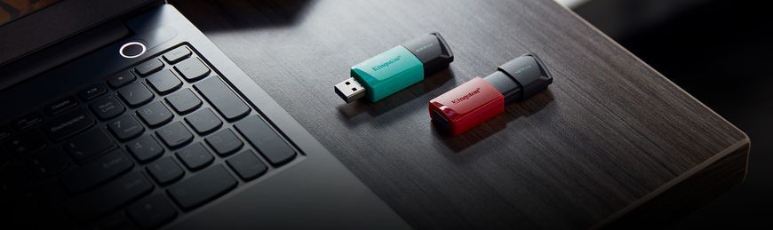 Накопичувач Kingston 256GB USB 3.2 Type-A Gen1 DT Exodia M (DTXM/256GB) 375869 фото