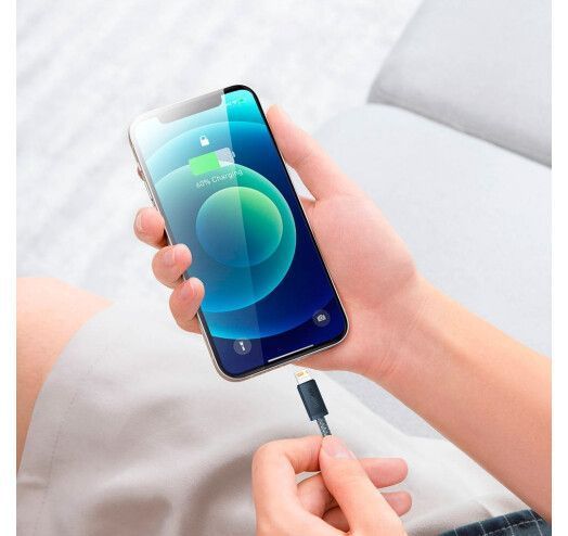 Кабель Baseus Dynamic Series Fast Charging Lightning 2.4A (1m) CALD000416 Slate Gray 272629 фото