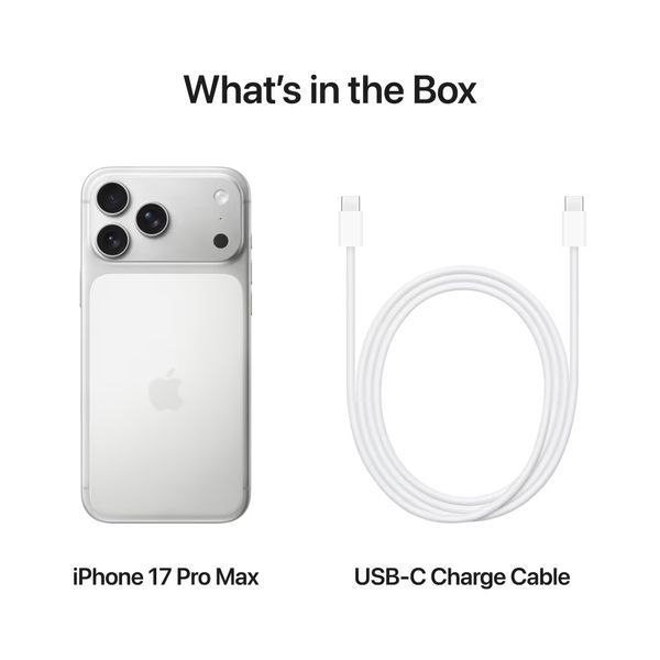 Смартфон Apple iPhone 17 Pro Max 2TB Silver e-Sim (MFXR4) 395416 фото