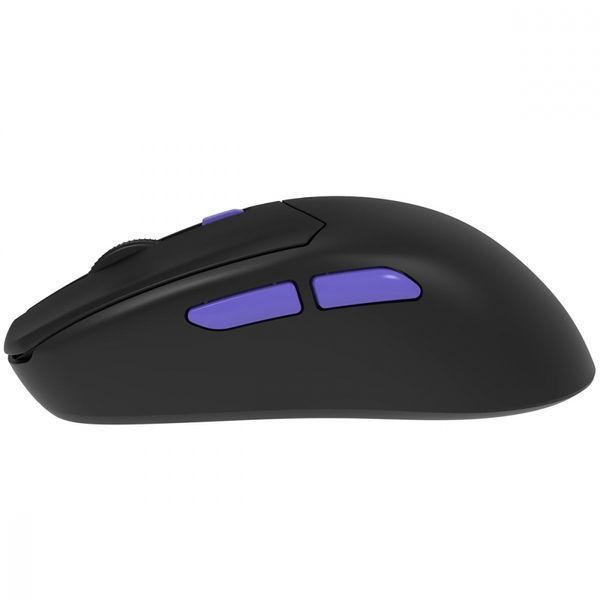 Бездротова ігрова миша Proove Gaming Everon (WMEV00022001) black 379313 фото