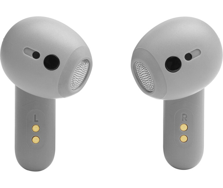Навушники JBL Live Flex (JBLLIVEFLEXSVR) Silver 268640 фото