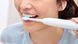 Насадка для зубної щітки Philips Sonicare HX6014/87 ProResults 367513 фото 2