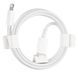 USB кабель Apple USB-C to Lightning Cable 1m (MQGJ2) 280837 фото 1