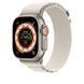 Ремінець Apple Watch 49mm Alpine Loop S - Starlite (MQE53) 257307 фото 2