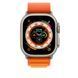 Ремінець Apple Watch 49mm Alpine Loop S - Orange (MQDY3) 259305 фото 3