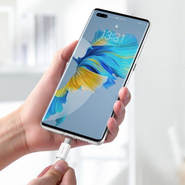Кабель Baseus Superior Series Fast Charging Type-C 66W (1m) (CATYS-02) White 216453 фото