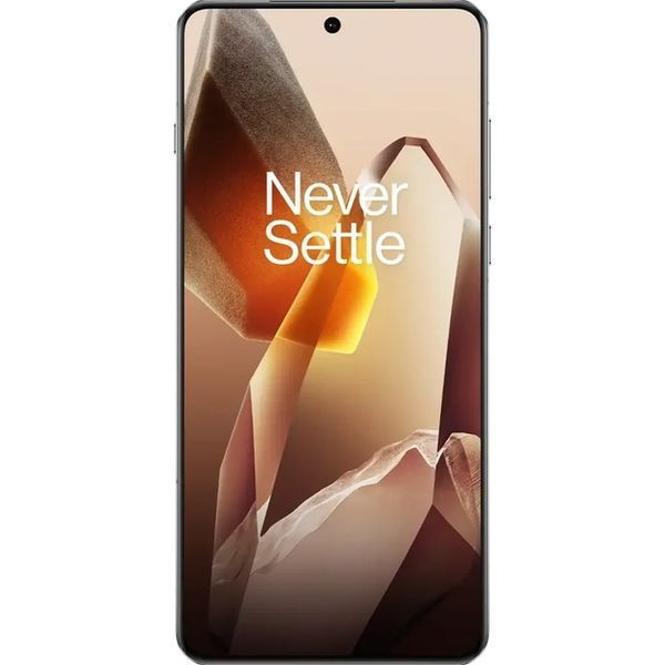 Смартфон OnePlus 13 16/512GB Arctic Dawn Global 360064 фото