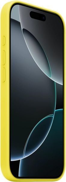 Чохол-накладка Apple iPhone 16 Pro Max Apple Silicone Case MagSafe Star Fruit 384354 фото