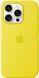 Чохол-накладка Apple iPhone 16 Pro Max Apple Silicone Case MagSafe Star Fruit 384354 фото 1