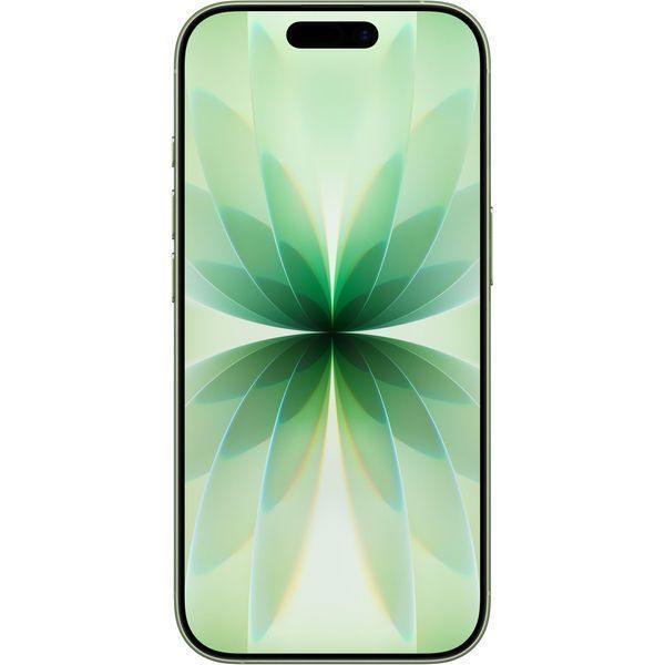 Смартфон Apple iPhone 17 512GB Sage (MG6V4) 393682 фото
