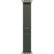 Ремінець Apple Watch Trail Loop Band S/M Для Watch 49mm - Natural Titanium Finish - Green (MXTN3) 328478 фото 3