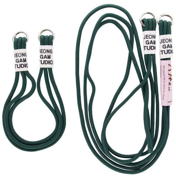 Чохол TPU two straps California для Apple iPhone 12 Pro / 12 (6.1") Зелений / Forest green 255738 фото