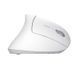 Миша Trust Verto Ergonomic, WL, білий (25132_TRUST) 372781 фото 3