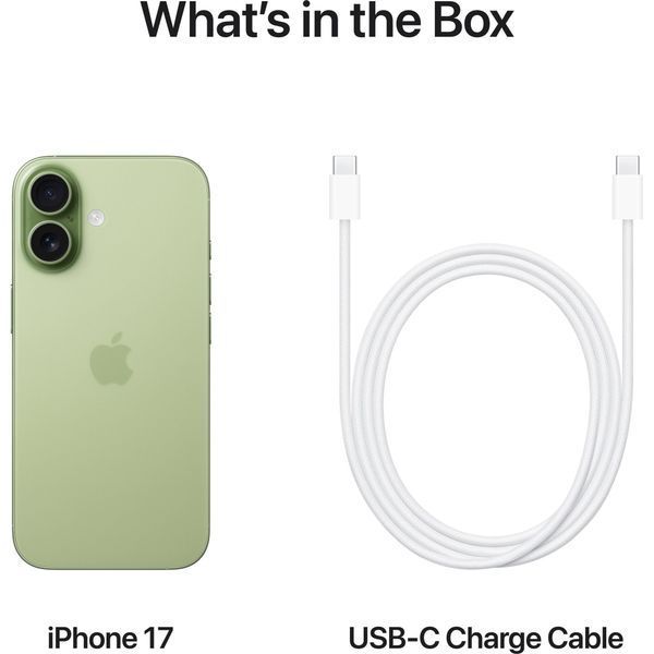 Смартфон Apple iPhone 17 256GB Sage e-Sim (MG4A4) 396623 фото