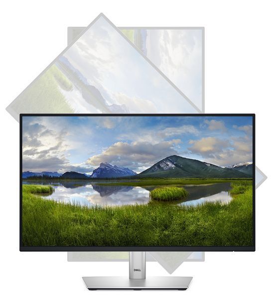 Монітор DELL 21.5" P2225H D-Sub, HDMI, DP, USB3.2, IPS, 100Hz, sRGB 99%, Pivot 363822 фото