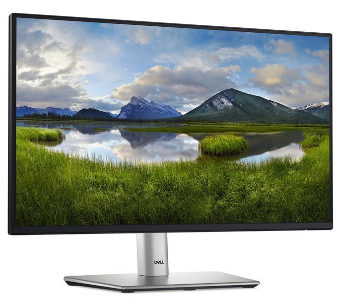 Монітор DELL 21.5" P2225H D-Sub, HDMI, DP, USB3.2, IPS, 100Hz, sRGB 99%, Pivot 363822 фото