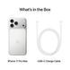 Смартфон Apple iPhone 17 Pro Max 1TB Silver (MFYV4) 393746 фото 6
