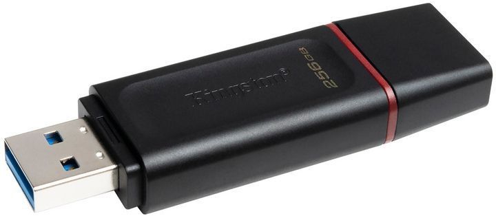 флеш-драйв KINGSTON DTXS 256GB USB 3.2 Gen 1 DataTraveler Exodia S 377285 фото