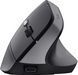 Миша Trust Bayo 2 Ergonomic, WL/USB-A, чорний (25145_TRUST) 363336 фото 3