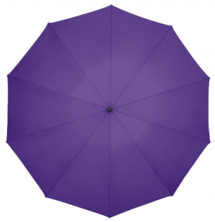 Парасолька Xiaomi Zuodu Purple 246705 фото