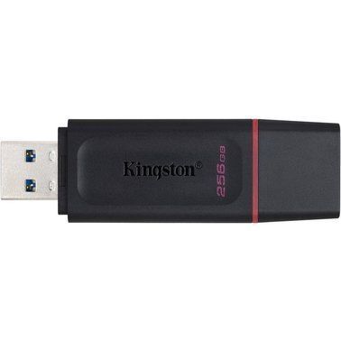 USB флеш Kingston DT Exodia 256GB (DTX/256GB) Black + Pink 274198 фото