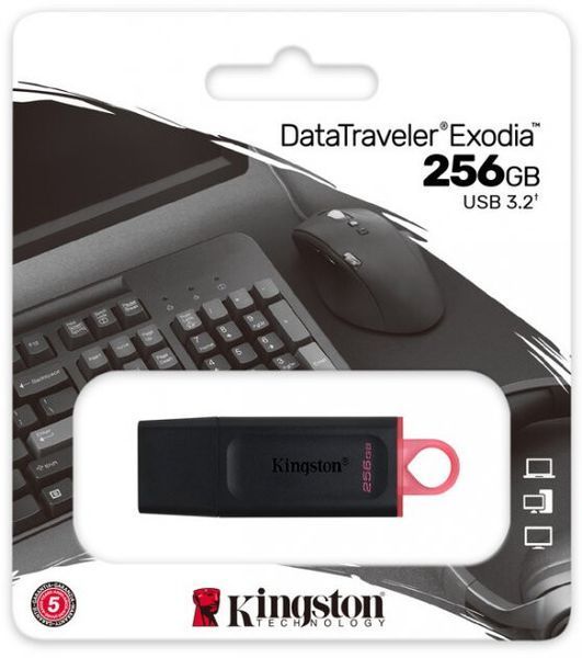 USB флеш Kingston DT Exodia 256GB (DTX/256GB) Black + Pink 274198 фото