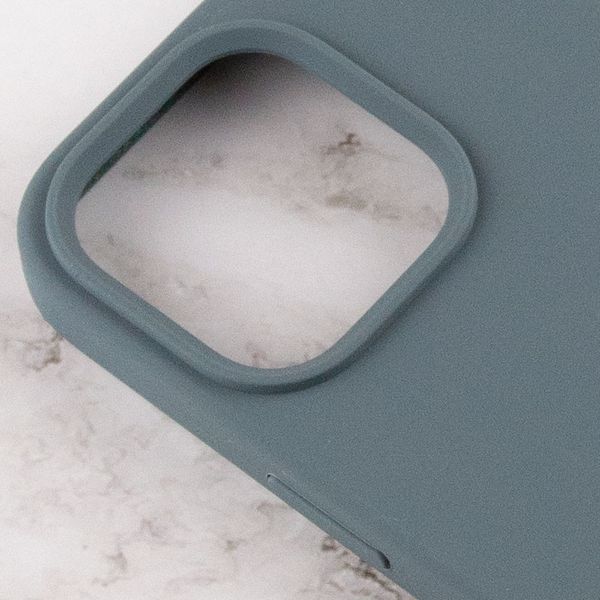Чохол Silicone Case Full Protective (AA) для Apple iPhone 13 Pro Max (6.7") Зелений / Cactus 215830 фото