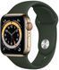 Смарт-годинник Apple Watch Series 6 40mm 4G Gold Stainless Steel Case With Cyprus Green Sport Band (M02W3/M06V3) 175962 фото 1