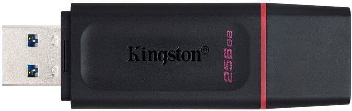 USB флеш Kingston DT Exodia 256GB (DTX/256GB) Black + Pink 274198 фото