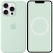 Чохол Silicone case (AAA) with Magsafe and Animation для Apple iPhone 16 Pro Max (6.9") Aquamarine 394406 фото 1