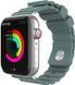 AhaStyle Premium Rugged Silicone Band for Apple Watch 42/44/45 mm Green 264656 фото 1