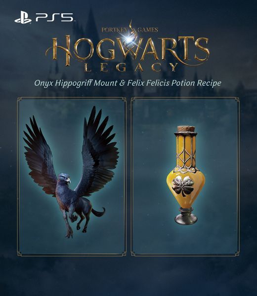 Гра консольна PS5 Hogwarts Legacy, BD диск 407162 фото