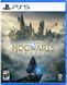 Гра консольна PS5 Hogwarts Legacy, BD диск 407162 фото 1