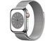 Смарт-годинник Apple Watch Series 8 GPS + LTE 41mm Silver Steel Case Milanese Loop Silver MNJ73/MNJ83 265331 фото 1