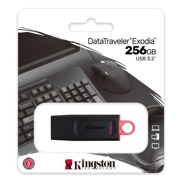 Накопичувач Kingston 256GB USB 3.2 Type-A Gen1 DT Exodia (DTX/256GB) 375109 фото