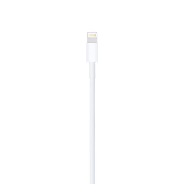 USB кабель Apple Lightning to USB Cable 2m (MD819) 264888 фото