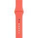 Ремінець Apple Watch 38/40mm S/M Apricot 238404 фото 1