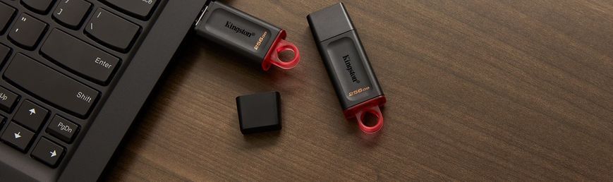 Накопичувач Kingston 256GB USB 3.2 Type-A Gen1 DT Exodia (DTX/256GB) 375109 фото