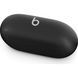 Навушники Beats By Dr. Dre Solo Buds (MUVW3) Matte Black 324523 фото 6