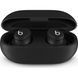 Навушники Beats By Dr. Dre Solo Buds (MUVW3) Matte Black 324523 фото 2